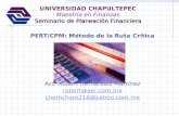 UNIVERSIDAD CHAPULTEPEC Maestría en Finanzas Seminario de Planeación Financiera
