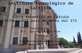 Instituto Tecnológico de Saltillo Curso Intensivo de Cálculo Diferencial para docentes del ITS