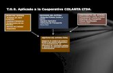 T.G.S. Aplicado a la Cooperativa COLANTA LTDA .