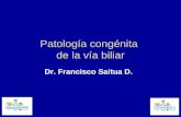 Patología congénita  de la vía biliar