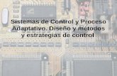 Sistemas de Control y Proceso Adaptativo. Diseño y métodos y estrategias de control