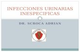INFECCIONES URINARIAS INESPECIFICAS