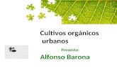 Cultivos orgánicos  urbanos Presenta: Alfonso Barona