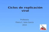 Ciclos de replicación viral