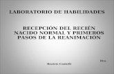 LABORATORIO DE HABILIDADES RECEPCIÓN DEL RECIÉN NACIDO NORMAL Y PRIMEROS PASOS DE LA REANIMACIÓN