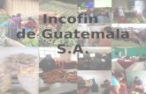 Incofin de Guatemala S.A .