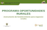 PROGRAMA  OPORTUNIDADES RURALES Instrumento de fortalecimiento para negocios rurales
