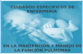 CUIDADOS ESPECIFICOS DE ENFERMERIA  EN LA MANTENCION Y MANEJO DE LA FUNCION PULMONAR
