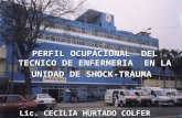 PERFIL OCUPACIONAL  DEL TECNICO DE ENFERMERIA  EN LA UNIDAD DE SHOCK-TRAUMA