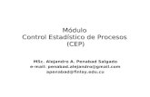 Módulo  Control Estadístico de Procesos  (CEP)