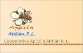Cooperativa Apícola Atitlán R. L.
