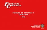 PROGRAMA DE ESTÍMULOS E INCENTIVOS 2009