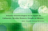 Estudio etnomicologico en la región de Cahuacán, Nicolás Romero, Estado de México.