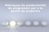 Mètriques de productivitat de programari per a la gestió de projectes