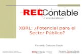 XBRL: ¿Potencial para el Sector Público?
