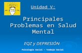 Unidad V: Principales Problemas en Salud Mental EQZ y DEPRESIÓN