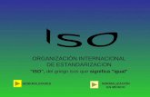ORGANIZACIÓN INTERNACIONAL DE ESTANDARIZACION "ISO",  del griego  isos  que  significa "igual"