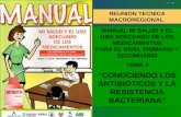 REUNION TECNICA MACROREGIONAL