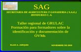 SAG SECRETARIA DE AGRICULTURA Y GANADERIA ( S.A.G.) HONDURAS C. A.
