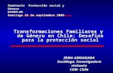 Transformaciones Familiares y de Género en Chile: Desafíos para la protección social