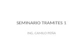 SEMINARIO TRAMITES 1