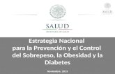 Estrategia Nacional  para  la Prevención  y el  Control  del Sobrepeso, la  Obesidad y la Diabetes