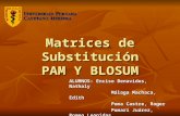Matrices de Substitución PAM Y BLOSUM