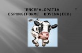 "ENCEFALOPATIA ESPONGIFORME  BOVINA(EEB)”