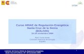 Curso ARIAE de Regulación Energética Santa Cruz de la Sierra (BOLIVIA) 15-19 noviembre 2004