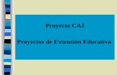 Proyecto CAJ Proyectos de Extensión  E ducativa