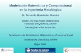 Modelación Matemática y Computacional en la Ingeniería Metalúrgica