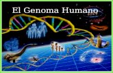 El Genoma Humano