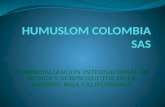 HUMUSLOM COLOMBIA SAS