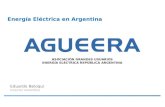 Energía Eléctrica en Argentina
