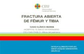 FRACTURA ABIERTA  DE FÉMUR Y TIBIA CASO CLÍNICO 09/2056 HOSPITAL CLÍNICO VETERINARIO
