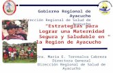 “Estrategias para Lograr una Maternidad Segura y Saludable en la Region de Ayacucho ”