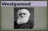 Charles Darwin  Wedgwood