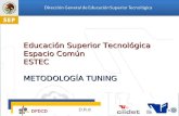 Educación Superior Tecnológica Espacio Común ESTEC METODOLOGÍA TUNING