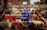 Unidad 10: ¿Por qué sufren los humanos? Estudio 45: Job Reconoce el Poder de Dios