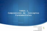 TAREA 1. Comprensión  de  Conceptos Fundamentales
