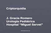 Criptorquidia J. Gracia Romero Urología Pediátrica Hospital  “ Miguel Servet ”