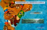 Ambiente en América Latina