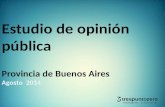Estudio de opinión pública Provincia de Buenos Aires Agosto  2014