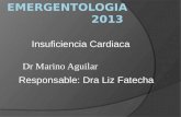 EMERGENTOLOGIA 2013