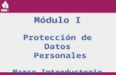 MÓDULO  I.  Protección de Datos Personales: Marco introductorio
