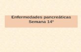Enfermedades pancreáticas Semana 14º