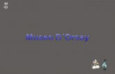 Museo  D´Orsay
