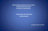 Universidad Autónoma de Yucatán  Facultad de Economía Finanzas Corporativas