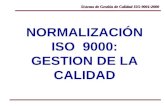 NORMALIZACIÓN ISO  9000: GESTION DE LA CALIDAD