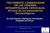 TRATAMIENTO CONSERVADOR DE LAS LESIONES INTRAEPITELIALES CERVICALES. Eficacia de los tratamientos
